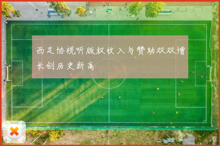 西足协视听版权收入与赞助双双增长创历史新高
