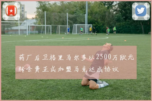 药厂后卫格里马尔多以2500万欧元转会费正式加盟马竞达成协议